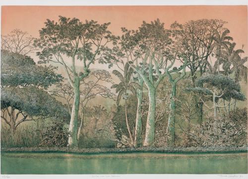 Tomás Sánchez-Orilla con luz dorada Orilla con luz dorada. Grabado sobre agua fuerte. 65 x 100, 60,5 x 88,5 cm. 1991